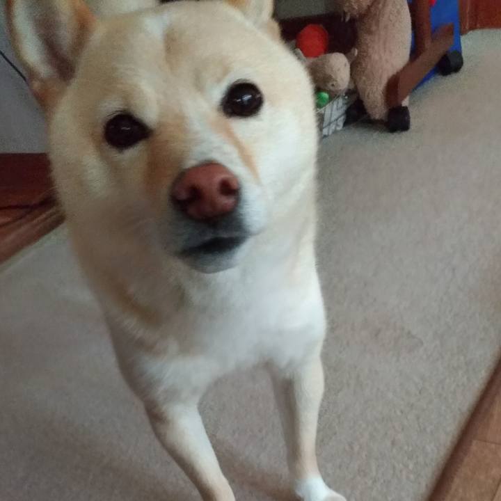 1da02457 c290 4391 b5b7 3048b083ca83 1590268277358