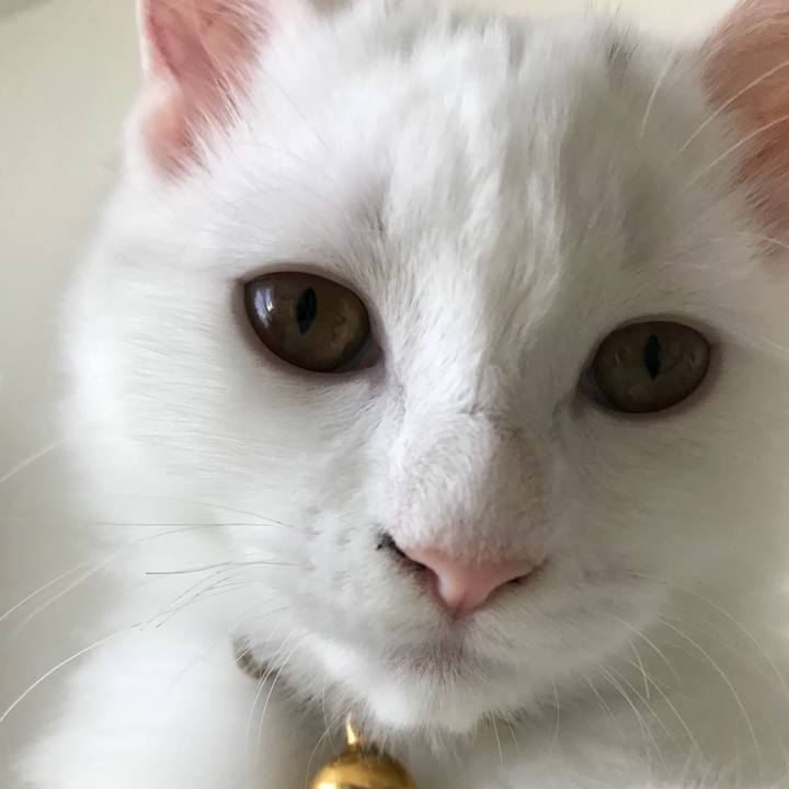 1da030fa 3f28 4ed5 9165 4694d28c199b 1508725872398