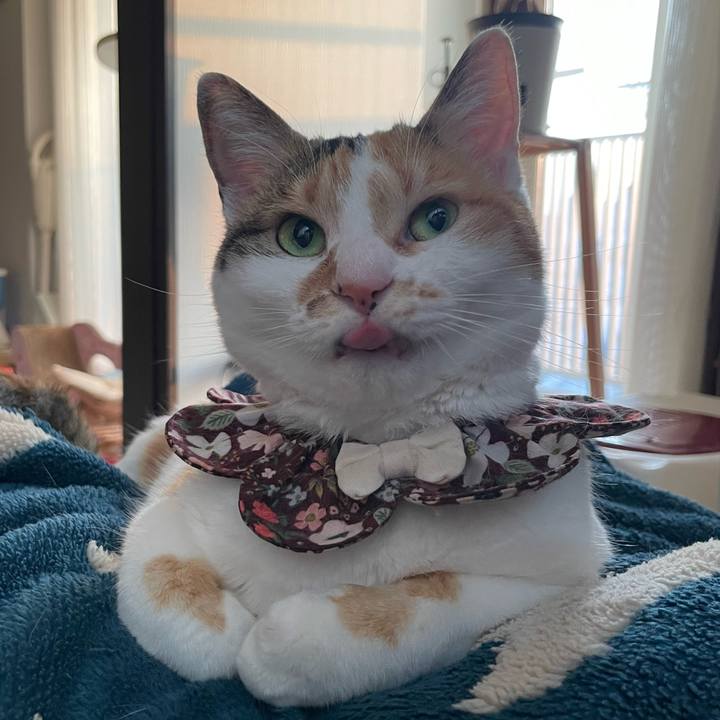 1da09230 b67d 4982 b367 79c1cd1ca7d8 1745193102364