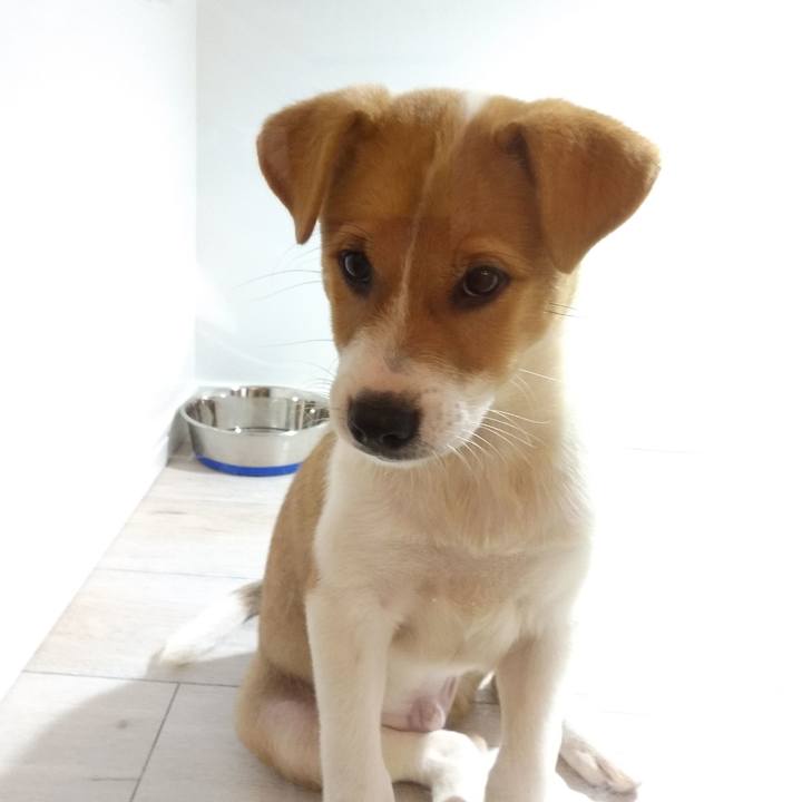 1da0955c 4354 4434 a754 aebb2d3ace2a 1567769892677