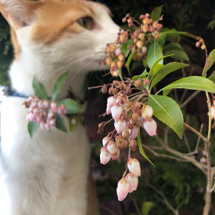 1da09600 f443 425b 8fef e7c7f4157df4 1555207936759