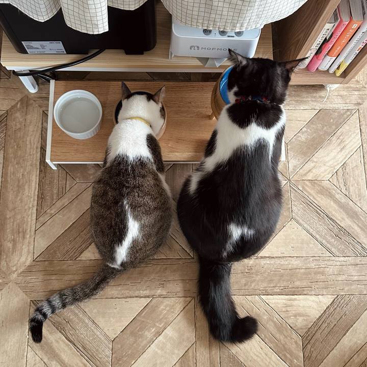 1da0a808 bd6c 4019 a399 1ac63bf8ec8e 1765425004193