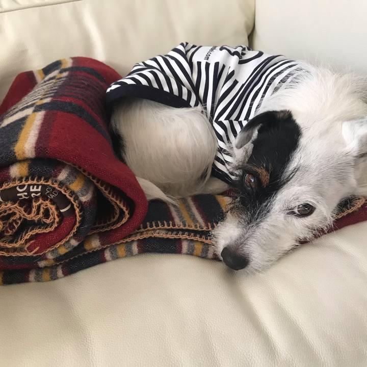 1da0bfb2 35ee 48dc a5e3 716ecbfbb026 1542263270258