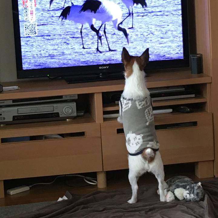 1da0c336 a8e3 4199 87fc 81d4bbf8e200 1583448051115