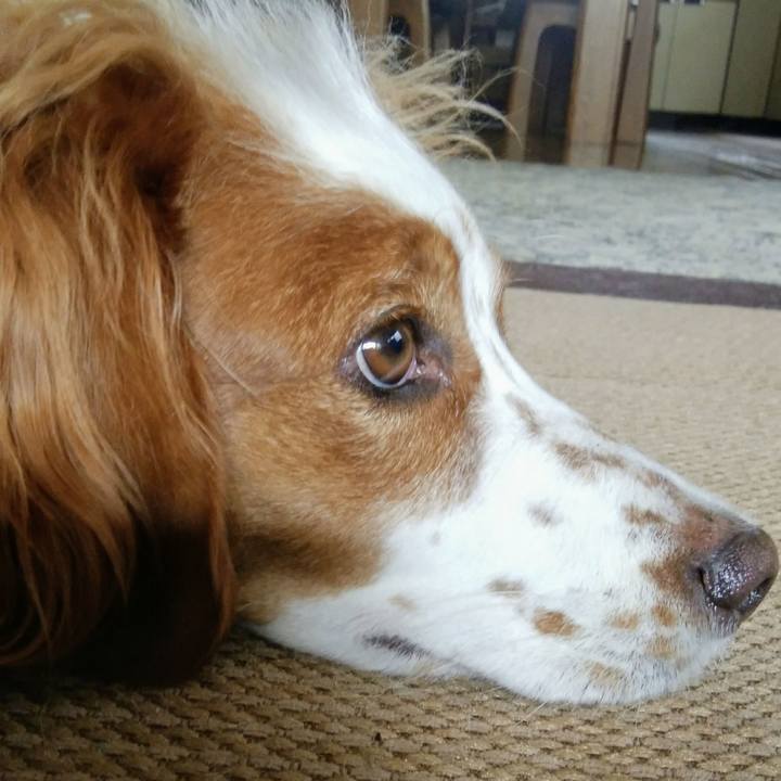 1da0e215 c777 404f 9ce0 53ae67b95fbf 1537701774084