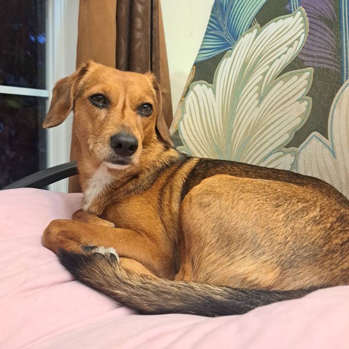 1da0ece9 3049 4d23 9041 e095ead15b98 1764159098493