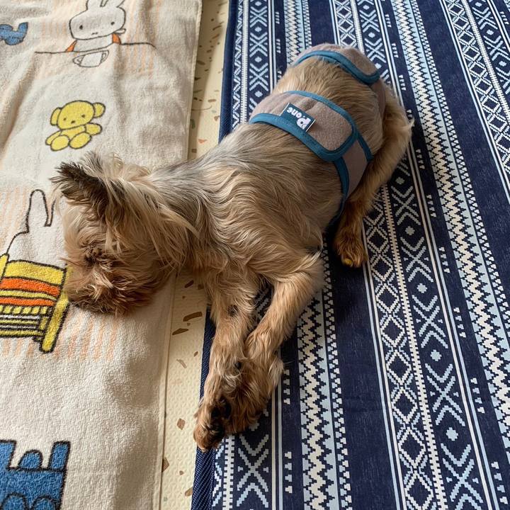 1da1029e a654 4042 bd6e c0a20d8d2d1b 1689848276433