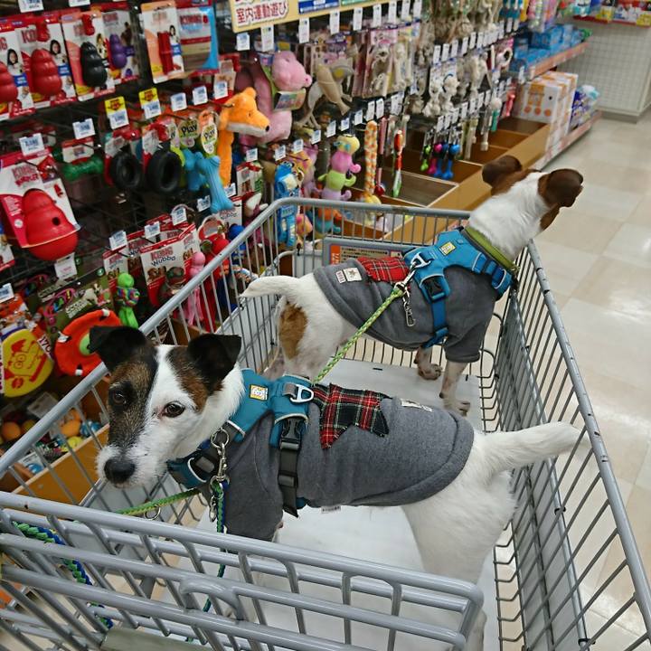 1da109b4 a4f4 4d62 9991 7d433b459bce 1580800980187