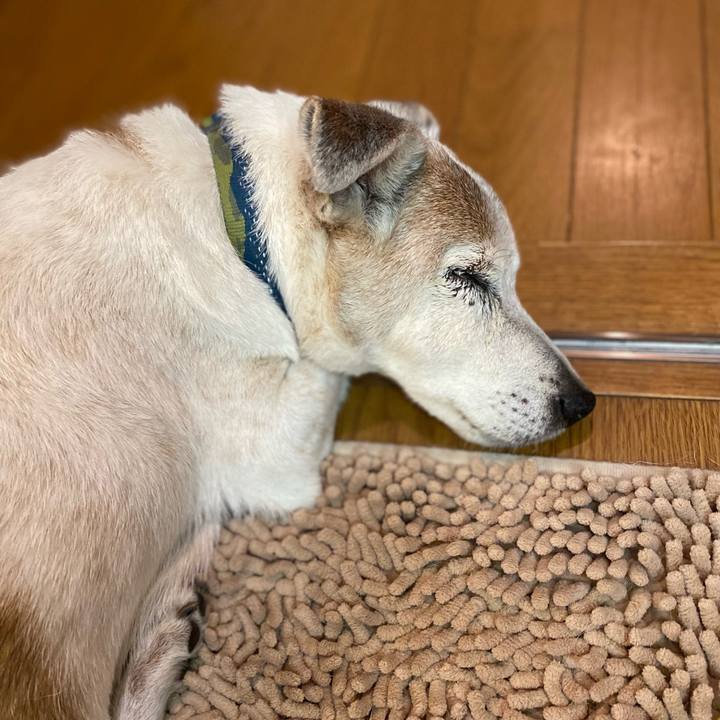 1da113d2 f3c8 4d73 a46d 119af0856ec3 1716692765799