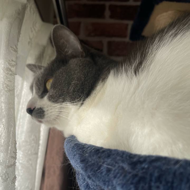 1da11b08 67d9 4bf4 993b 48f2ab0ed2ae 1670113999850