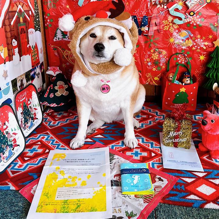 1da12bad 02b2 4b86 a44f 3c81d4057180 1671162438498