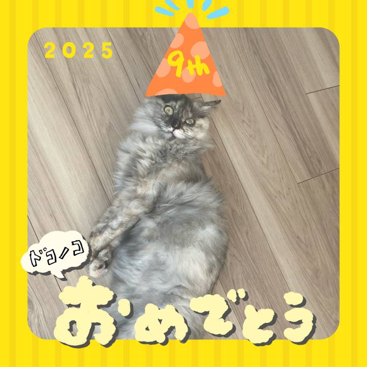 1da1318b 411b 49fb 9e12 e089f0a63d9c 1749420904996