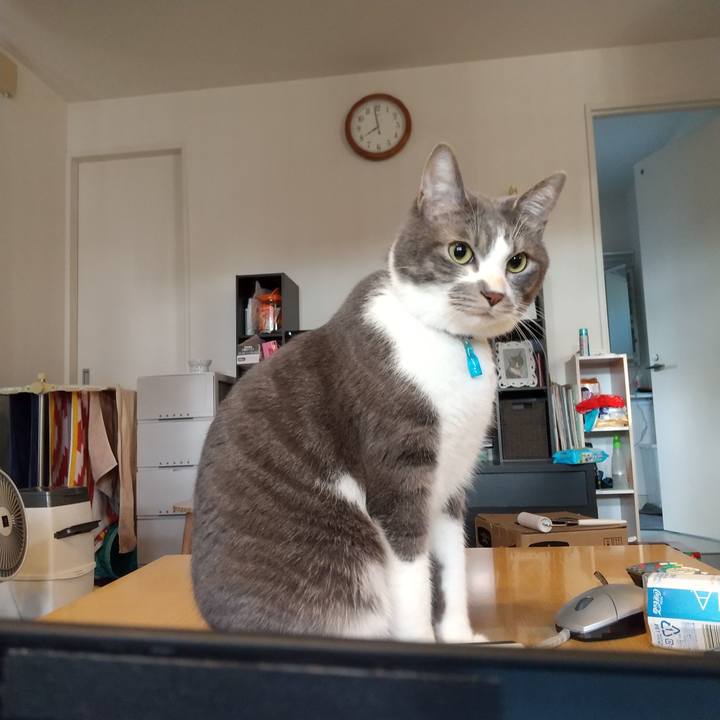 1da155cc 4104 446b 9e9d 902a7062128d 1610060699237