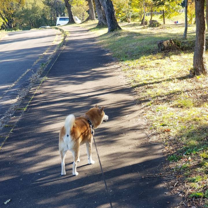 1da16ccd 8d03 44e3 a12e a3cf61c332a1 1667195348779