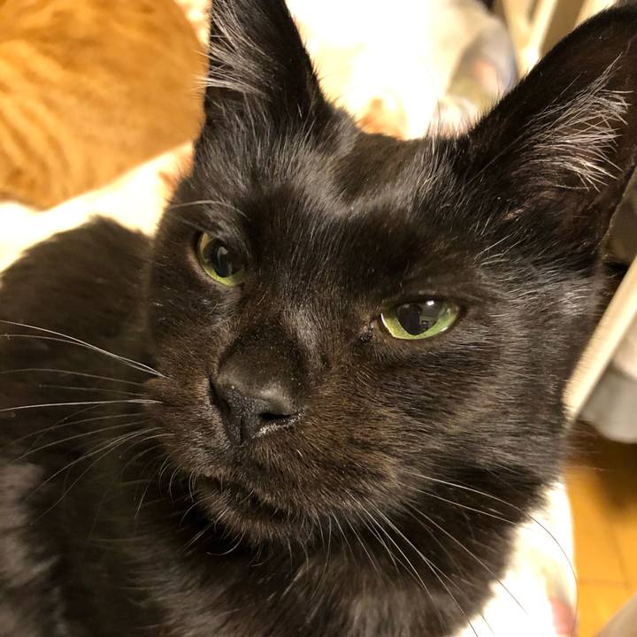 1da18622 3126 4548 bd98 1f4ead0d05f4 1575295613669