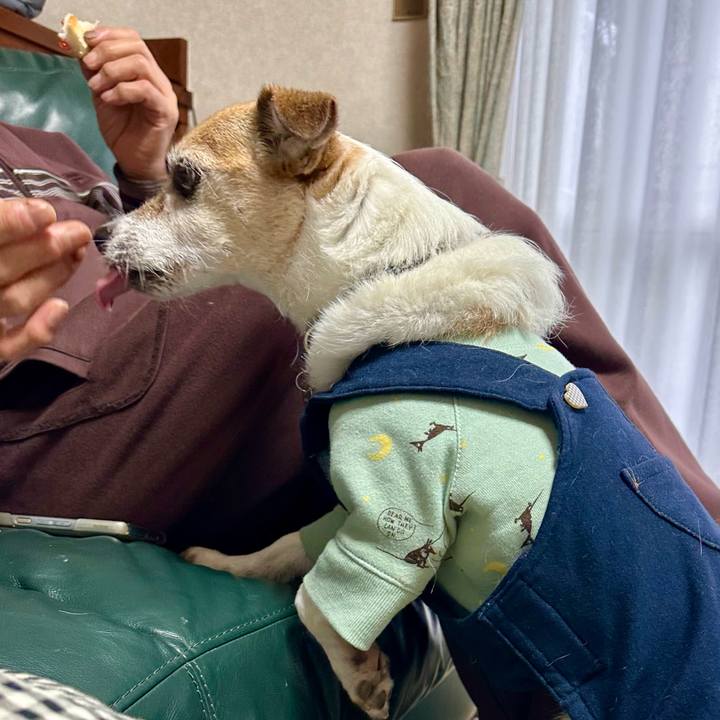 1da1904d 8e24 4df1 9282 9cf584d5a91d 1674114658705