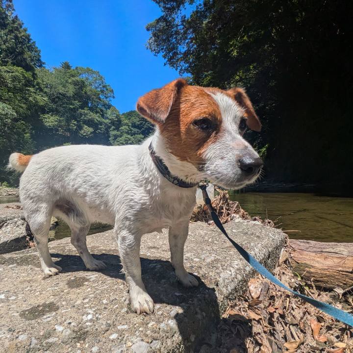 1da19ad4 7478 4e00 a4cf 54f12158ca10 1753795367233