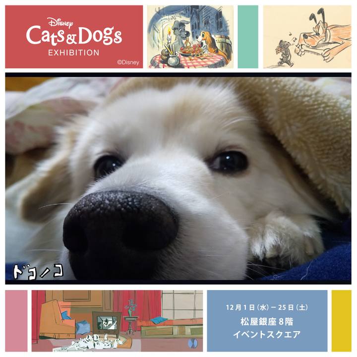 1da1d975 b490 4541 bd4c c2f0b320737a 1640058282704