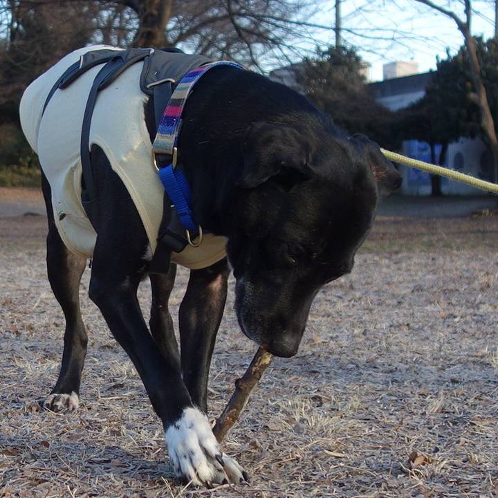 1da1e6d9 cb93 4563 a29f 4f7e25efb01b 1642035865006