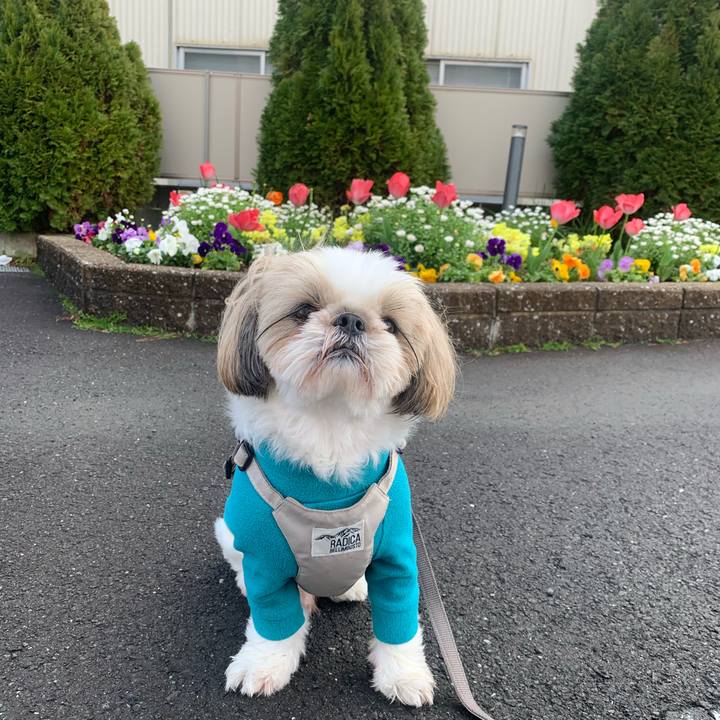 1da1fa14 daf6 449e 96ad f9c9c9e52321 1712995789554