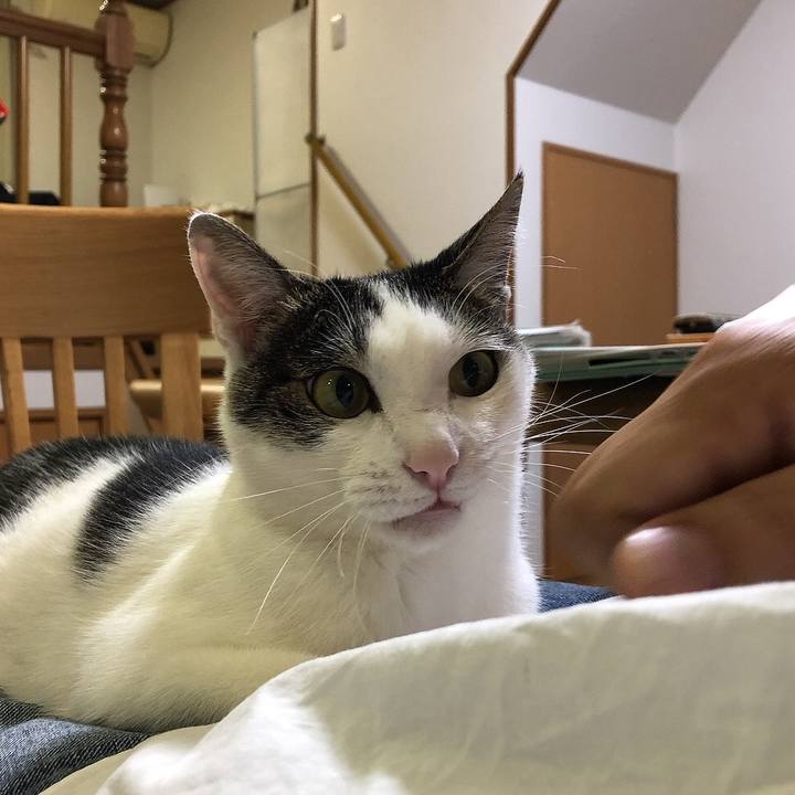 1da22f3d 8efe 40cd a68b e0d13d7b2415 1653052868223