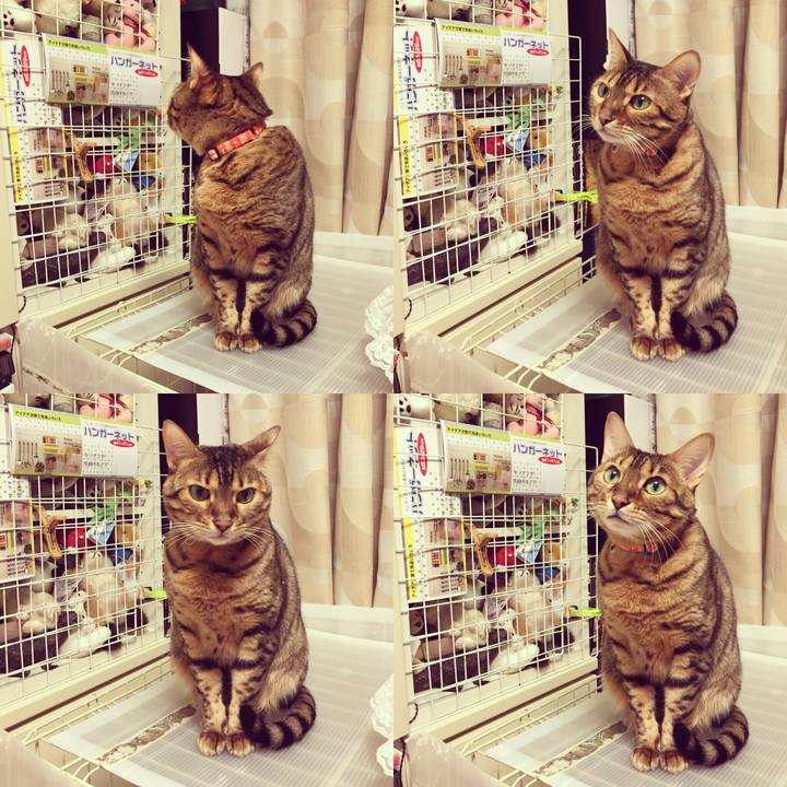 1da27a7e 4cd2 43e6 ad2b bff1db494754 1511486117981