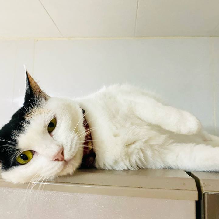 1da297e7 4a42 4627 9d17 7c5aa684be49 1688211088995