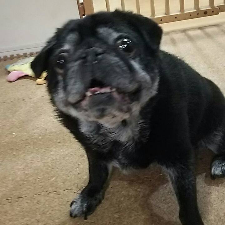 1da2b29e 44c5 458d b03d 9ed929cdcc6b 1537629096599