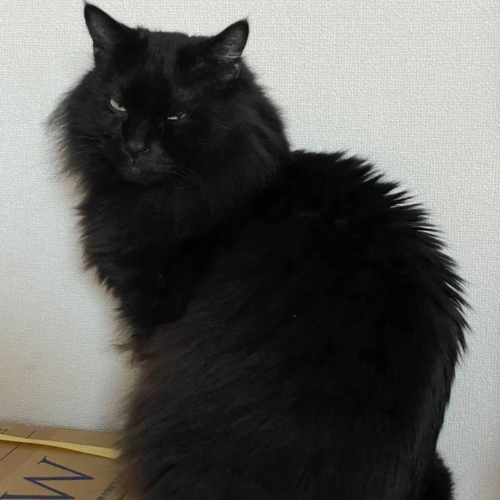 1da2b56a 1fb5 49aa a6ef 4e46a3fc077c 1580117823798