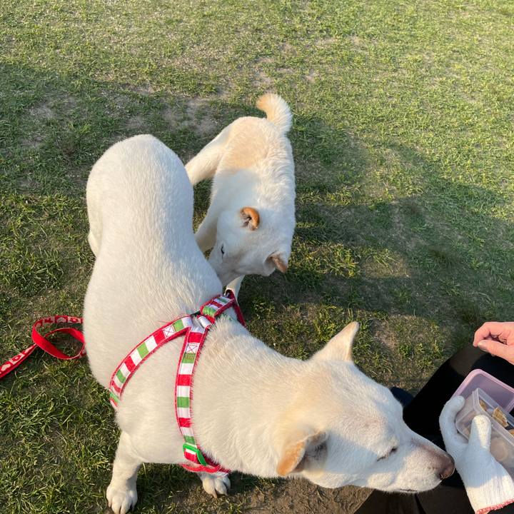 1da2d843 ab81 4cb4 9141 0232c10c7262 1650461334042