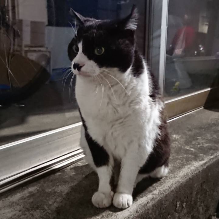 1da2dcaf 929d 4ae9 af88 91b7c4d30417 1648635662103