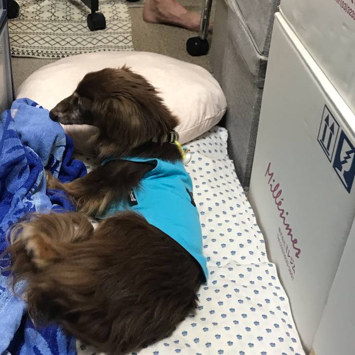 1da2de74 acc6 4985 9735 70592cc1e9dc 1593134375970