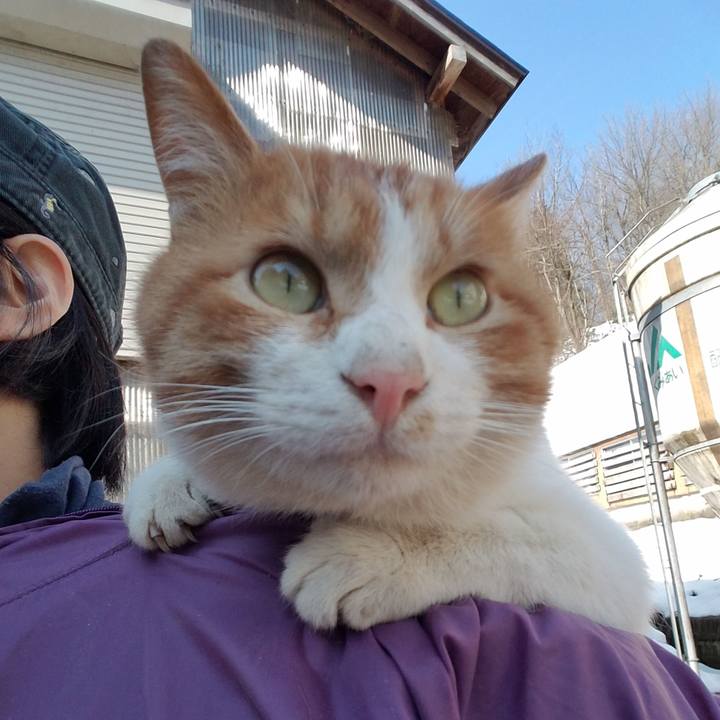 1da30935 d1e8 4063 82f9 c42b8855b60d 1552653431876