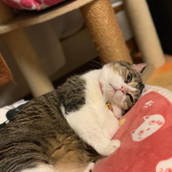 1da326fd 7466 447d 8a79 8b57011adba5 1733319037656