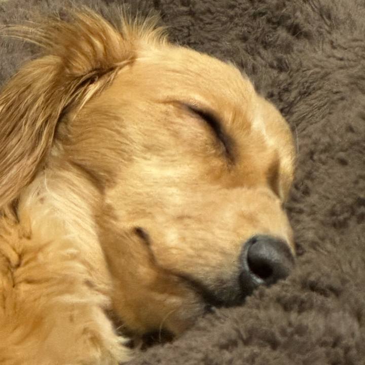 1da342d1 da40 45ae b3ce 9d1a418f3811 1710674253654