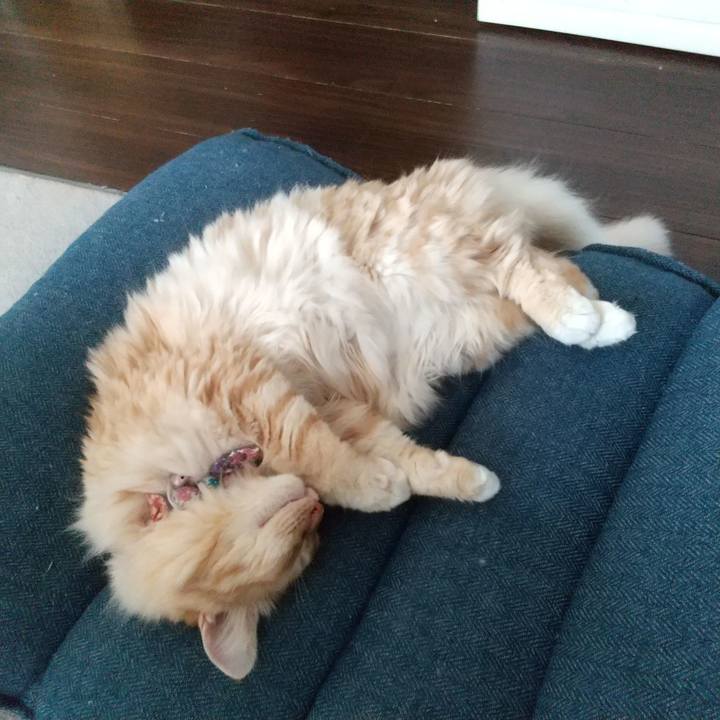 1da34743 4e54 4ed1 b178 898f7658eec6 1630305268315