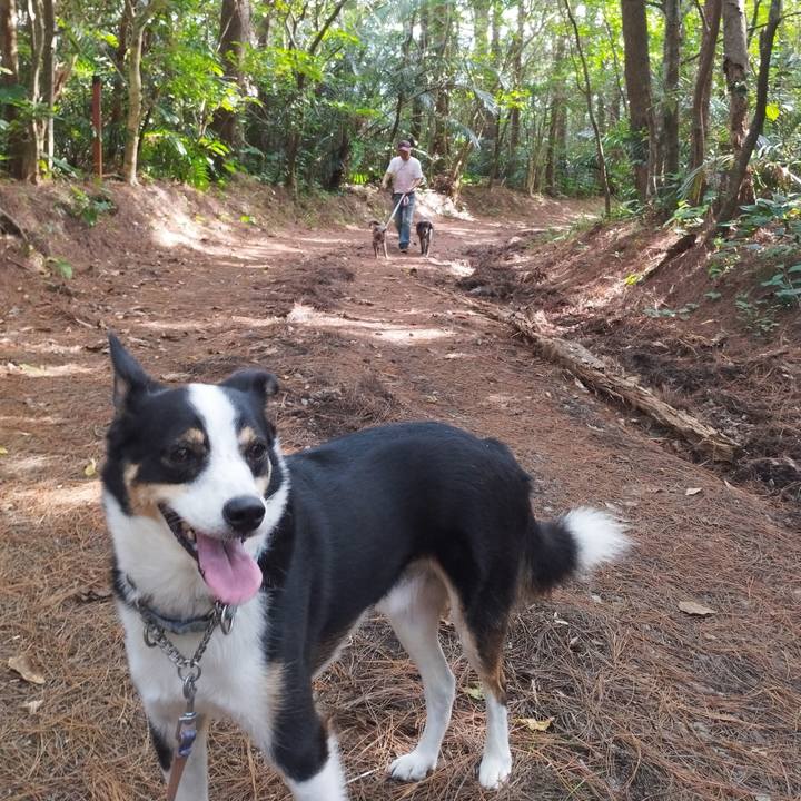 1da350f2 c309 405e 9a44 41a9de40a1fb 1698680906546