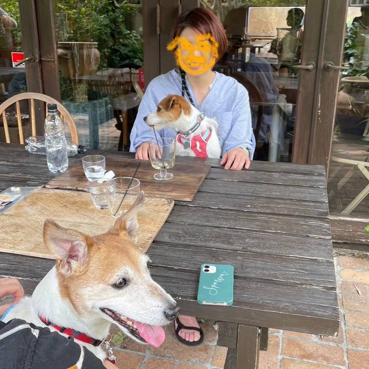 1da36c4a eaa4 429c b3d9 bf8508acc5e4 1685190671702