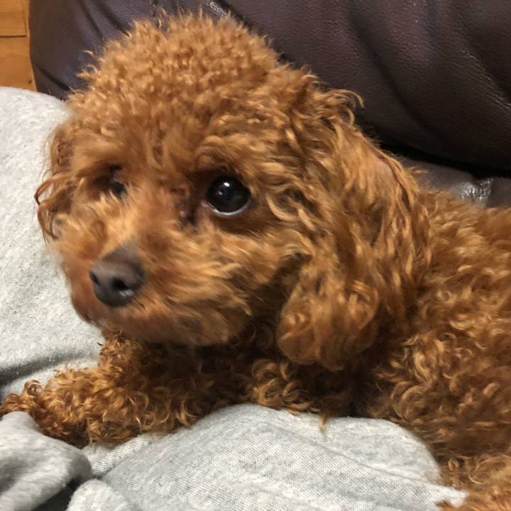 1da3a6d7 3834 435f a953 66b8800a15d4 1522105209982