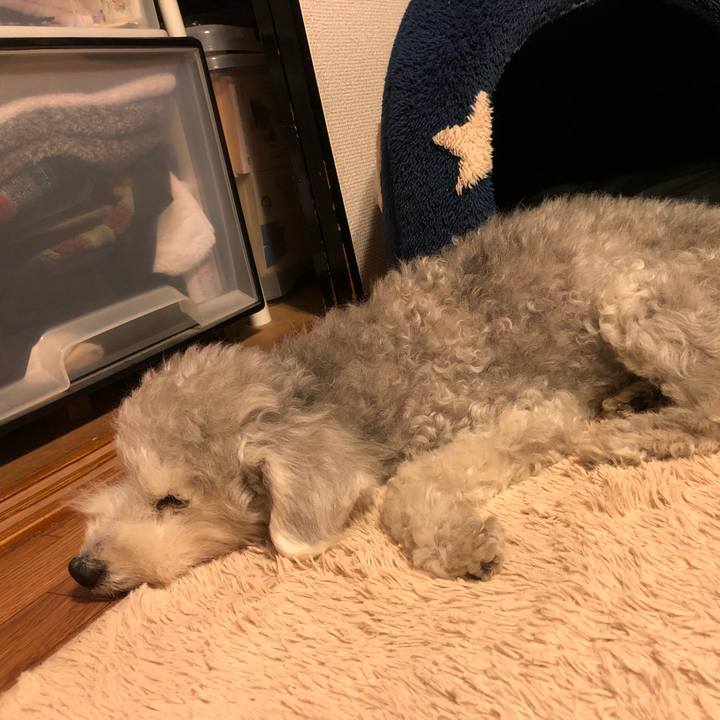 1da3aa59 faa9 4a48 b00d 99a6a4f75d2c 1655338975208