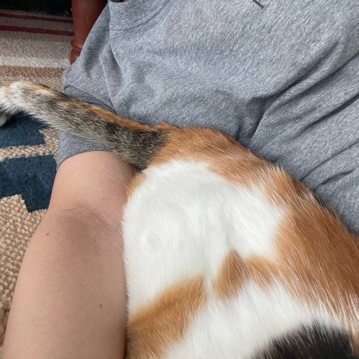 1da3bd96 2731 480d b5dd ab9313e51168 1750894502266