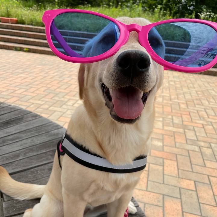 1da3cd40 56fa 46f2 8d71 e93d917b3b61 1621914846466