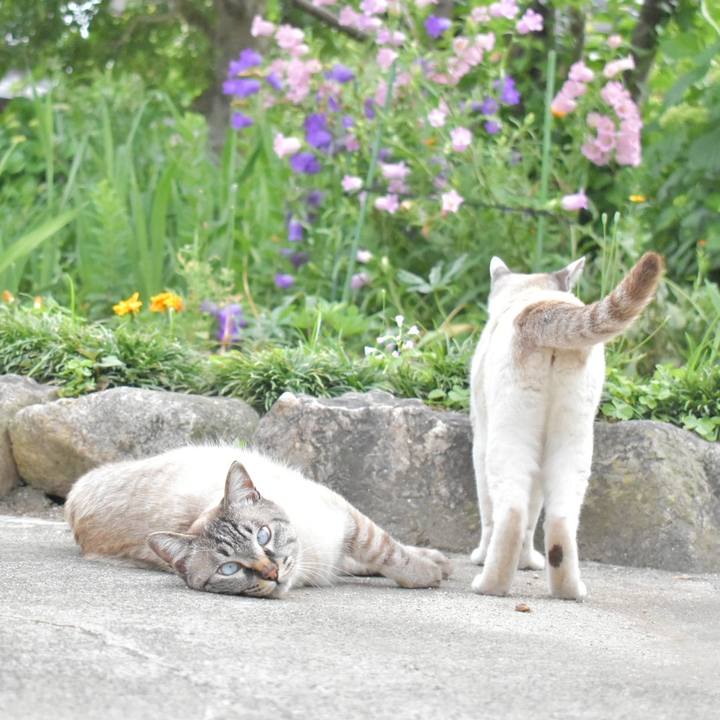 1da3eb77 46c8 468f 8c80 f0a2cc66b029 1526804503095