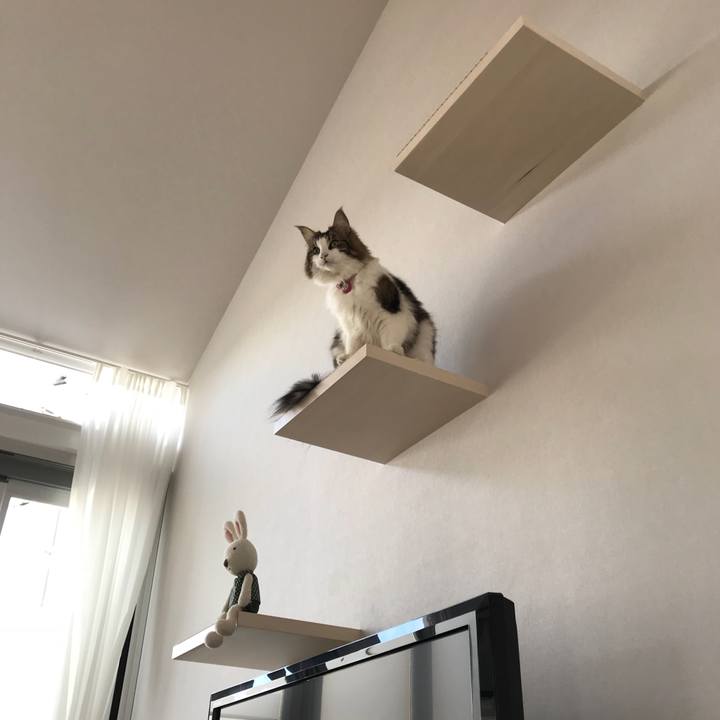 1da40462 309f 486d 804a 82655dc00926 1513759630934