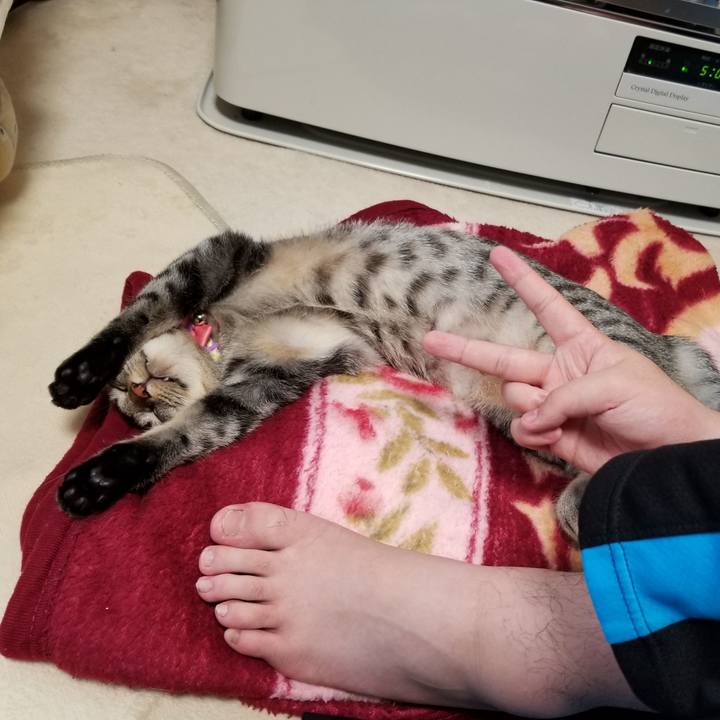 1da461a3 a698 4d47 add8 4d737d3b08d0 1682071083341