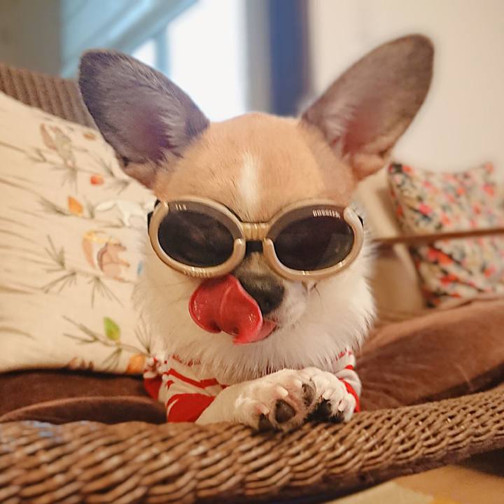 1da48e0c 015d 4418 8bb1 b8ca8c65946e 1594808475533