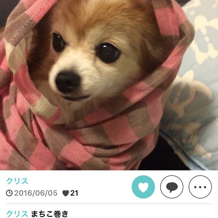 1da50e6a 1add 4fdf 83a8 a3b592f2cb1b 1591315622836