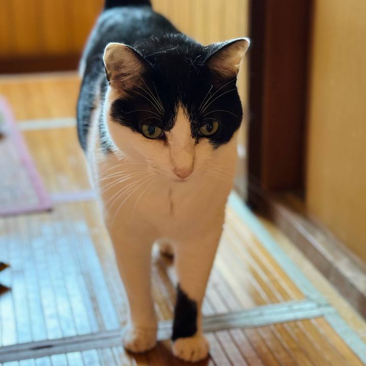 1da580c6 eb2a 4945 ba94 332623790655 1723598110179