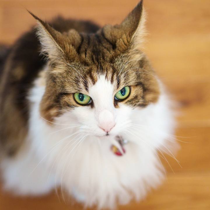 1da58a73 2cb7 4dd8 b541 47d0b9b1b501 1734503414538