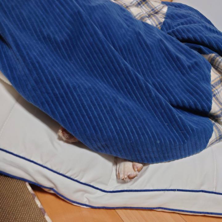 1da600d3 b8d7 42cb 9681 95a0d920f059 1693983546773